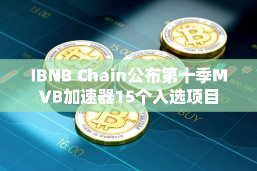IBNB Chain公布第十季MVB加速器15个入选项目