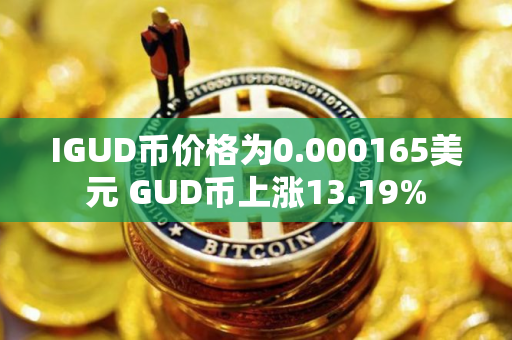 IGUD币价格为0.000165美元 GUD币上涨13.19%