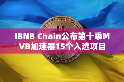 IBNB Chain公布第十季MVB加速器15个入选项目
