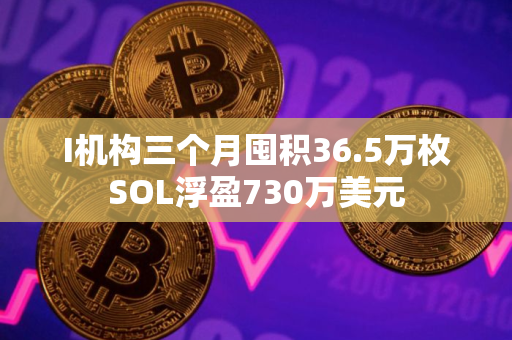 I机构三个月囤积36.5万枚SOL浮盈730万美元 I机构三个月囤积36.5万枚SOL浮盈730万美元