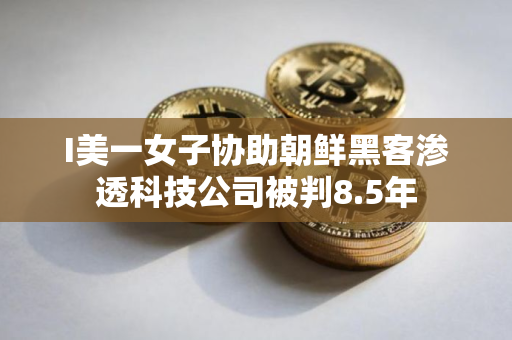 I美一女子协助朝鲜黑客渗透科技公司被判8.5年
