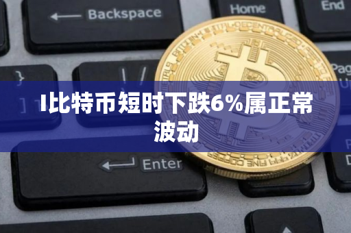 I比特币短时下跌6%属正常波动 I比特币短时下跌6%属正常波动
