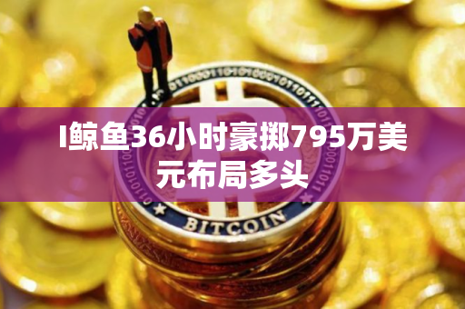 I鲸鱼36小时豪掷795万美元布局多头