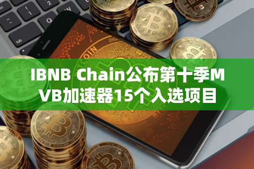 IBNB Chain公布第十季MVB加速器15个入选项目