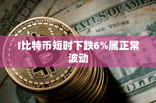 I比特币短时下跌6%属正常波动