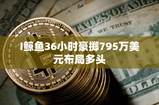 I鲸鱼36小时豪掷795万美元布局多头
