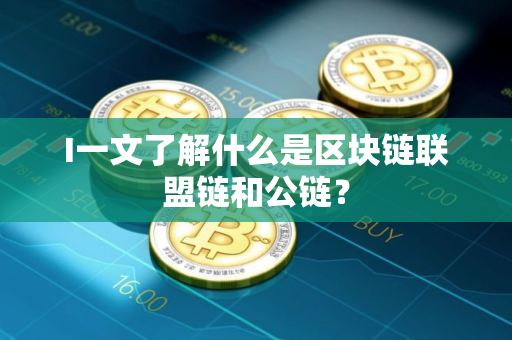 I一文了解什么是区块链联盟链和公链？