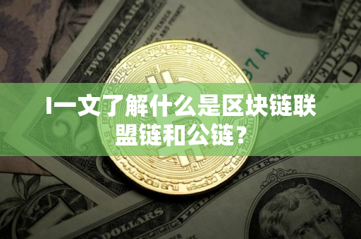 I一文了解什么是区块链联盟链和公链？