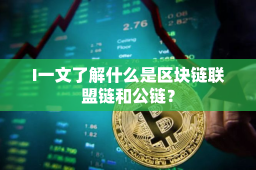 I一文了解什么是区块链联盟链和公链？