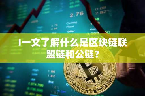 I一文了解什么是区块链联盟链和公链？