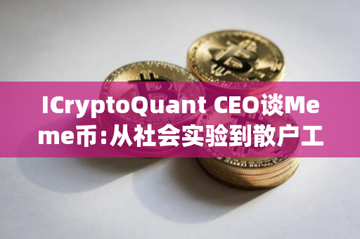 ICryptoQuant CEO谈Meme币:从社会实验到散户工具