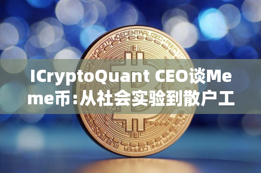 ICryptoQuant CEO谈Meme币:从社会实验到散户工具