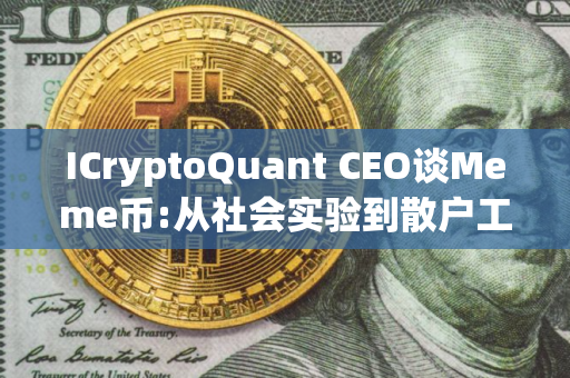 ICryptoQuant CEO谈Meme币:从社会实验到散户工具