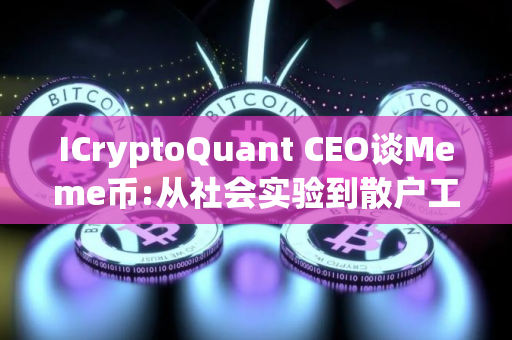 ICryptoQuant CEO谈Meme币:从社会实验到散户工具