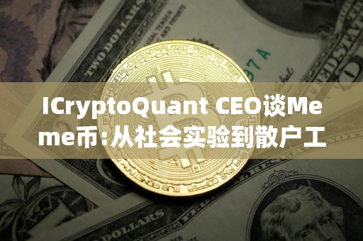ICryptoQuant CEO谈Meme币:从社会实验到散户工具