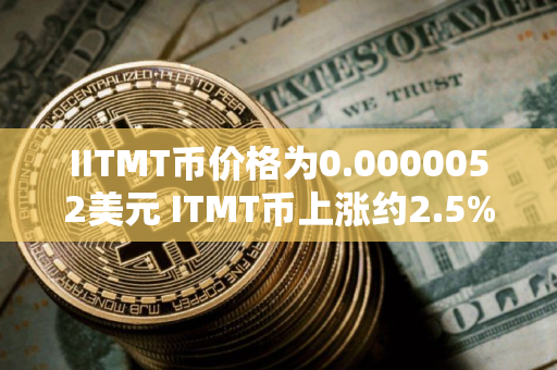 IITMT币价格为0.0000052美元 ITMT币上涨约2.5%