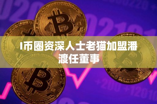 I币圈资深人士老猫加盟潘渡任董事