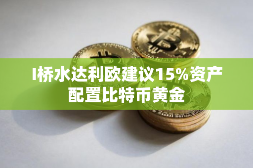I桥水达利欧建议15%资产配置比特币黄金