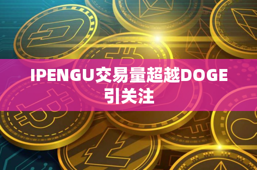 IPENGU交易量超越DOGE引关注