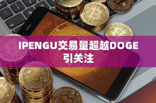 IPENGU交易量超越DOGE引关注