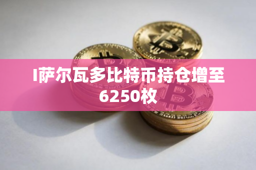 I萨尔瓦多比特币持仓增至6250枚