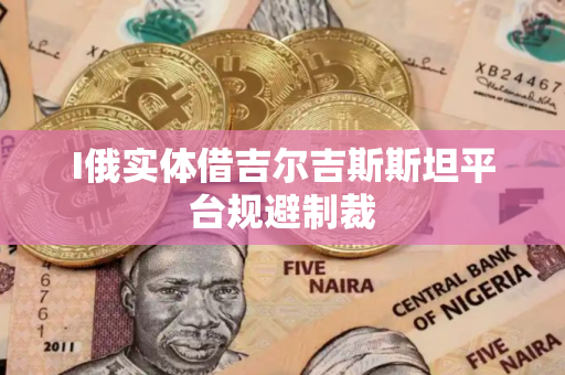 I俄实体借吉尔吉斯斯坦平台规避制裁