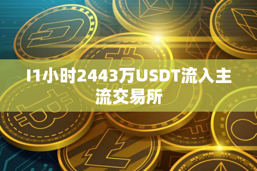 I1小时2443万USDT流入主流交易所