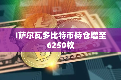 I萨尔瓦多比特币持仓增至6250枚