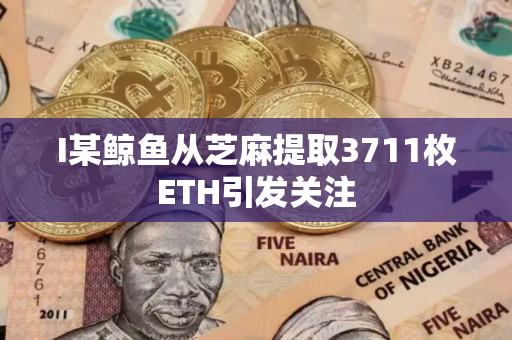 I某鲸鱼从芝麻提取3711枚ETH引发关注