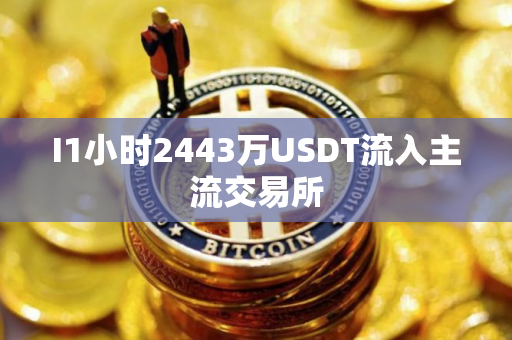 I1小时2443万USDT流入主流交易所