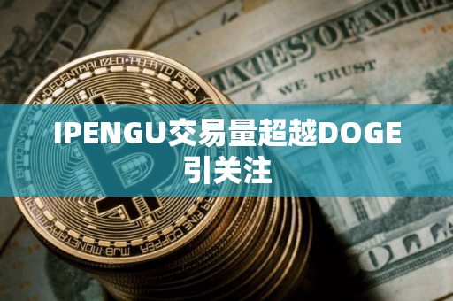 IPENGU交易量超越DOGE引关注