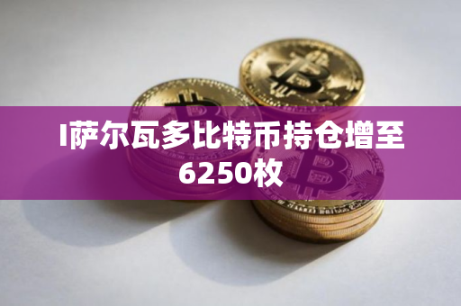 I萨尔瓦多比特币持仓增至6250枚