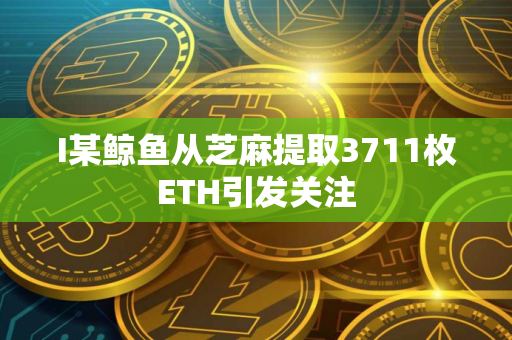 I某鲸鱼从芝麻提取3711枚ETH引发关注