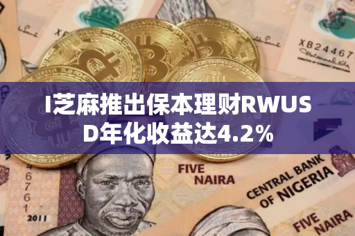 I芝麻推出保本理财RWUSD年化收益达4.2%