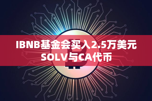 IBNB基金会买入2.5万美元SOLV与CA代币