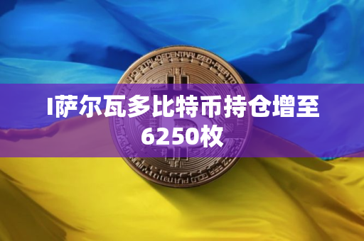 I萨尔瓦多比特币持仓增至6250枚