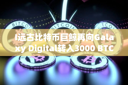 I远古比特币巨鲸再向Galaxy Digital转入3000 BTC