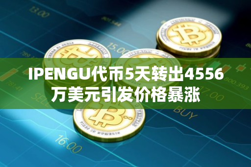 IPENGU代币5天转出4556万美元引发价格暴涨