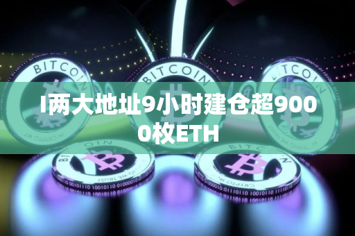 I两大地址9小时建仓超9000枚ETH