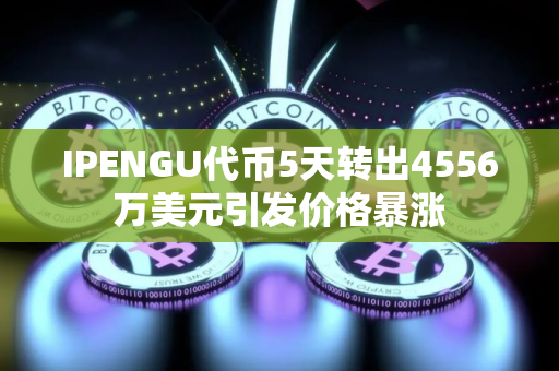 IPENGU代币5天转出4556万美元引发价格暴涨