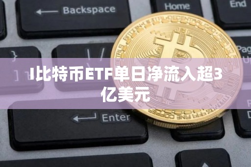I比特币ETF单日净流入超3亿美元