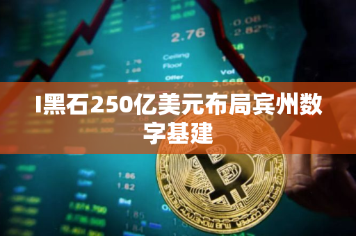 I黑石250亿美元布局宾州数字基建