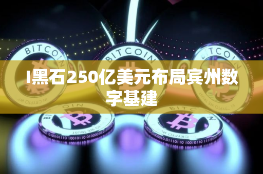 I黑石250亿美元布局宾州数字基建
