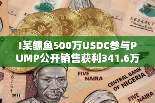 I某鲸鱼500万USDC参与PUMP公开销售获利341.6万美元