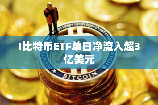 I比特币ETF单日净流入超3亿美元