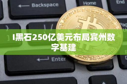 I黑石250亿美元布局宾州数字基建
