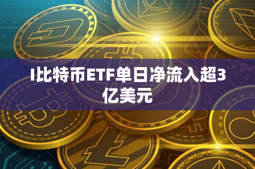 I比特币ETF单日净流入超3亿美元