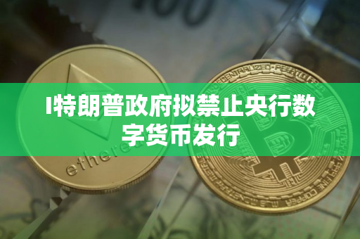 I特朗普政府拟禁止央行数字货币发行