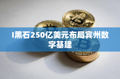 I黑石250亿美元布局宾州数字基建