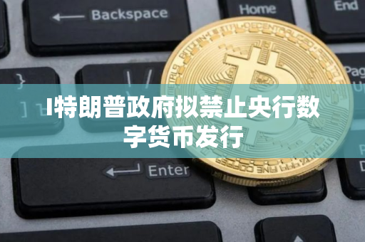 I特朗普政府拟禁止央行数字货币发行